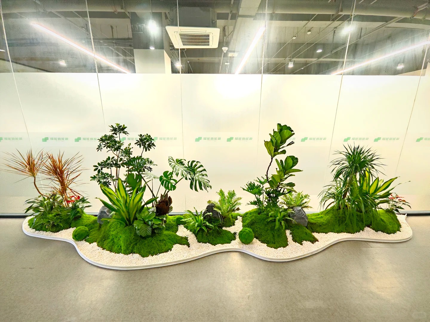 慈溪花卉租摆哪家好 慈溪花卉租摆哪家好